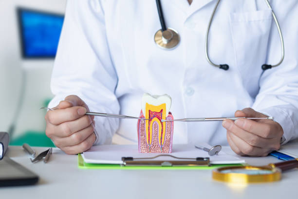 Best Emergency Orthodontic Services in Jefferson, WI